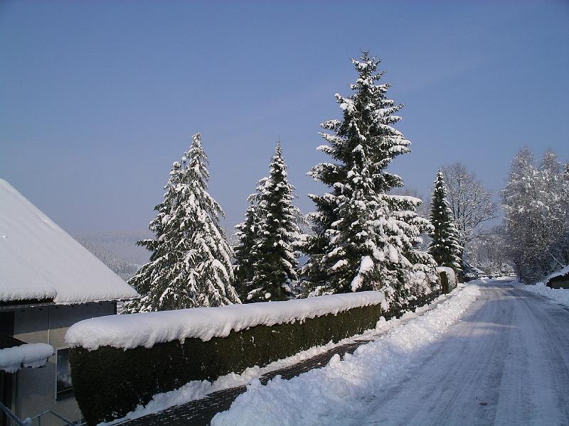 Winter 75.jpg